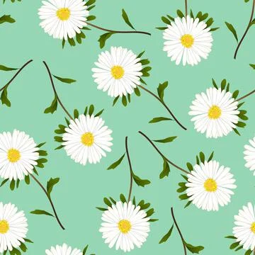 White Aster, Daisy on Green Background Stock Illustration