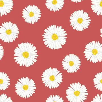 White Aster, Daisy Seamless on Red Background Stock Illustration