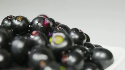 White back ground to Java plum Fruits in a bowl 4k Short Video stock 252206935