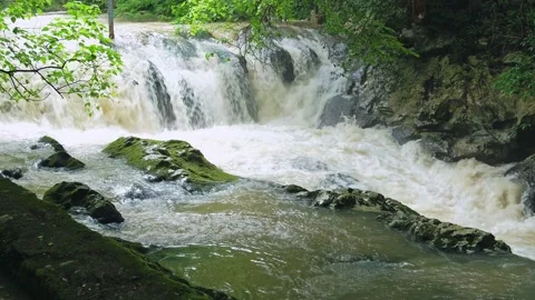 White backdrop. Mountain forest landscape. Stock Footage 203945483