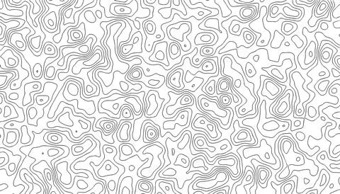 White background with abstract topographic thin lines. Illustrazione stock