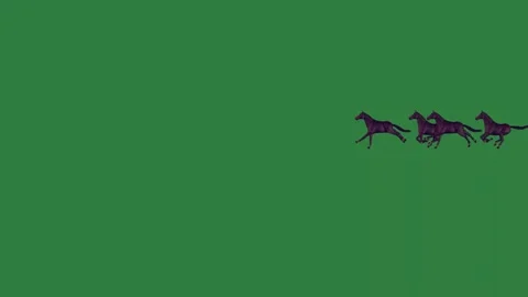 White background and bat flying in the air black cat on it horses running Stock Footage 337341268