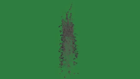 White background and black outline on it bird bunch flowers tree in the middle Stock Footage 337342064