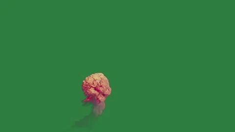 White background and flower in the middle on jellyfish heart shaped object dog Stock Footage 337336226