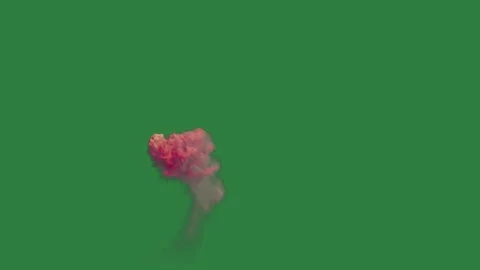 White background and flower on red it smoke pink bird flying through the air Stock Footage 337336233