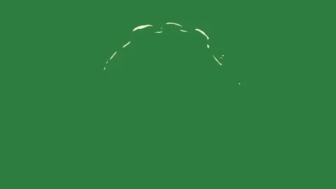White background and outline on it face silhouette of man circle ' s arrow Stock Footage 337340924