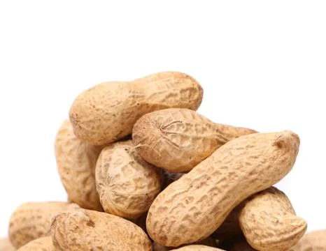 White background and peanuts Stock Photos