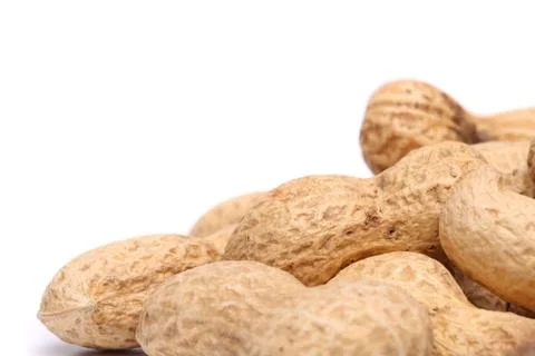 White background and peanuts right Stock Photos