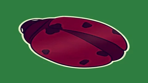 White background and red object on ladybug sticker piece of paper design frame Stock Footage 337336220