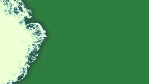 White background and skull on it water splashing lot small dots light coming Stock Footage 337341014