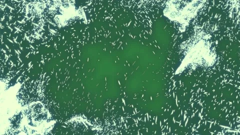 White background and spots lot of particles water droplets flies on it lots Stock Footage 337341025