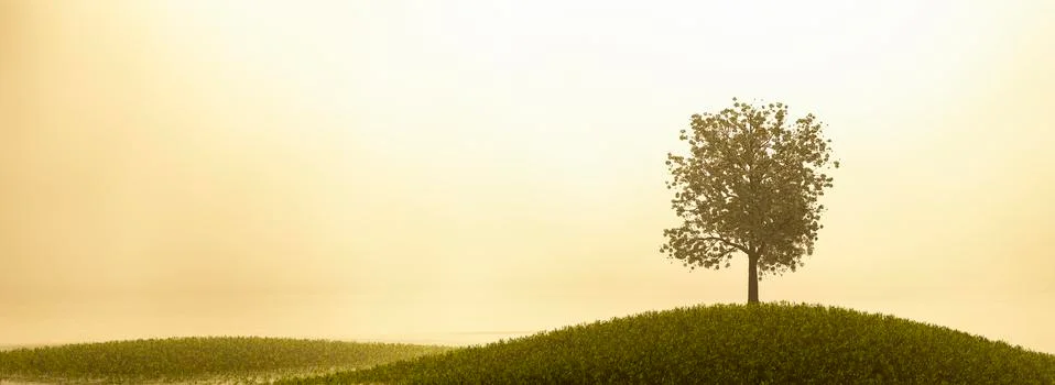 White background and tree Stock Illustration