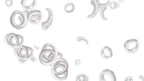 White Background Animation of Falling Octopus Tentacle Rings Stock Footage 325698747