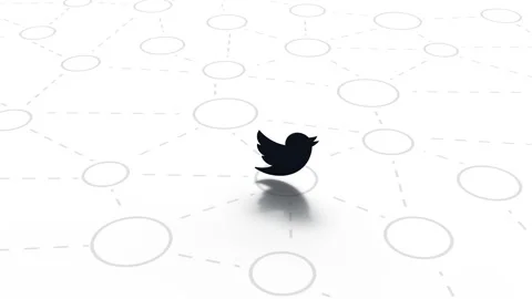 White background with black Twitter bird icon. Stock Footage 152214517