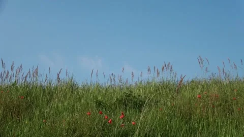 White Background with blue sky Video stock 292089414