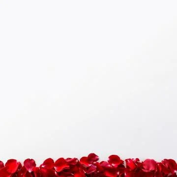 White background with border from red petals Stock Photos