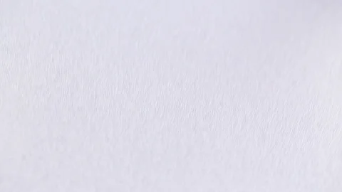 White background with a brush paint Stock Footage 94400672