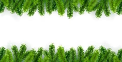 White background with Christmas tree branches around the edges Stock Illustration