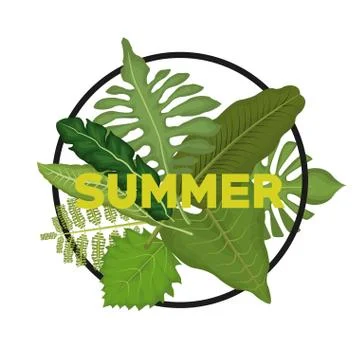 White background with circular frame with decorative green leaves and summer Illustrazione stock