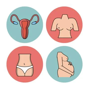 White background with circular frames of female body parts 스톡 일러스트