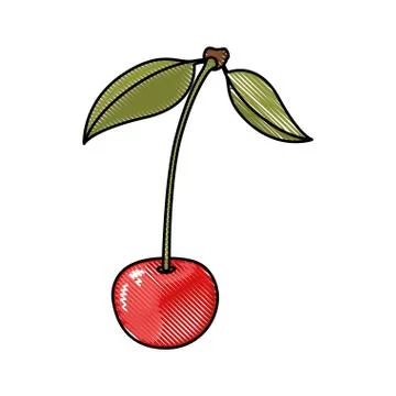 White background of colored crayon silhouette of cherry with stem and leaves Stock Illustration