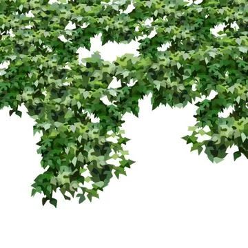 White background with dense hanging green foliage Stock Illustration