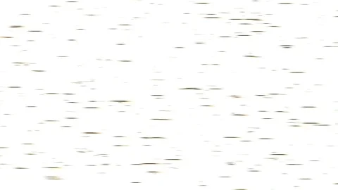 White background Stock-Footage 118078091