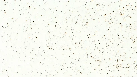 White background Stock Footage 118078178