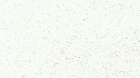 White background Stock Footage 118078186