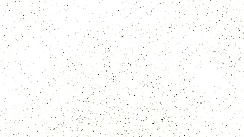 White background Stock Footage 118078199