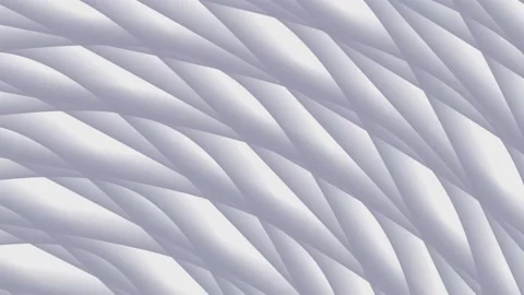 White background Stock Footage 168161138