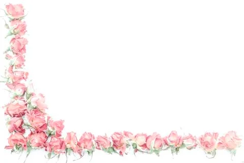 White background with frame of delicate roses Stock Photos