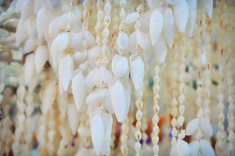 White background of hanging shells. Suspended sea shells, texture Stockfoto's