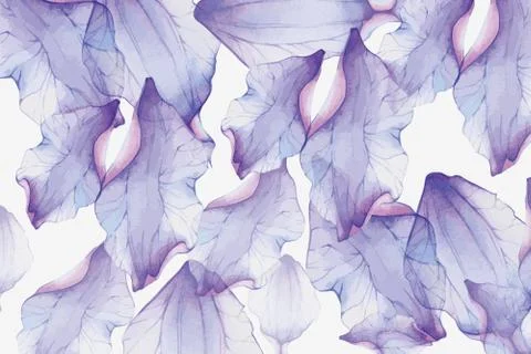 White background, large translucent purple leaves Stock Illustration