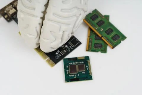 On a white background, a model of the brain and microcircuits 스톡 사진