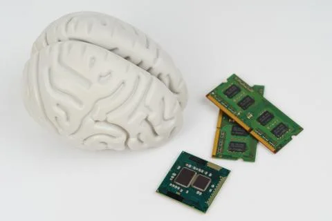 On a white background, a model of the brain and microcircuits Foto stock