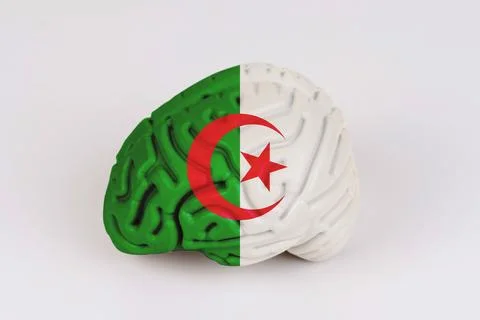 On a white background, a model of the brain with a picture of a flag - Algeri Foto stock