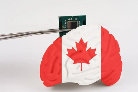 On a white background, a model of the brain with a picture of a flag - Cana.. Foto stock