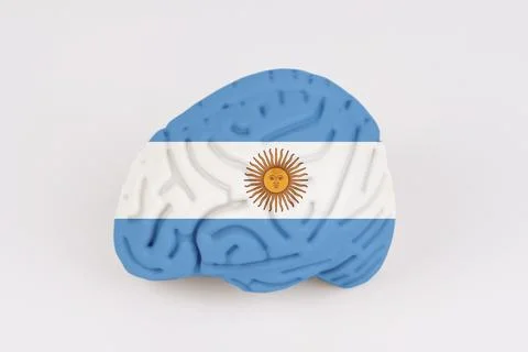 On a white background, a model of the brain with a picture of a flag - Argent Stock Photos