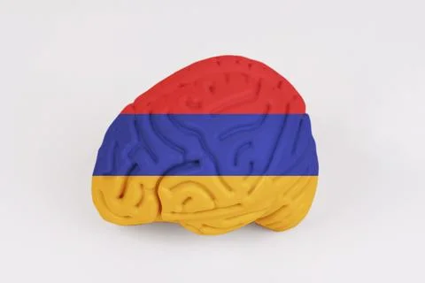 On a white background, a model of the brain with a picture of a flag - Armeni Foto stock