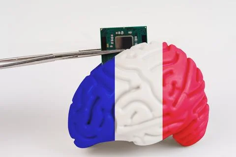 On a white background, a model of the brain with a picture of a flag - Fran.. Stock Photos