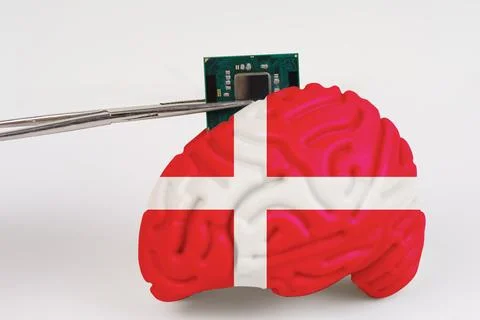 On a white background, a model of the brain with a picture of a flag - Denmar Stock Photos