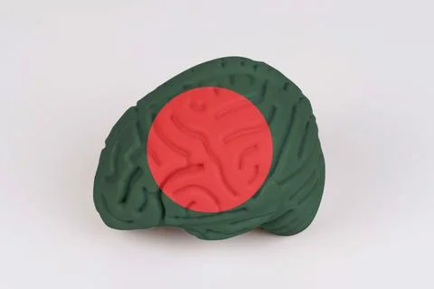 On a white background, a model of the brain with a picture of a flag - Bangla Stock Photos