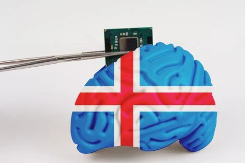 On a white background, a model of the brain with a picture of a flag - Icelan Foto stock