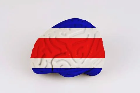 On a white background, a model of the brain with a picture of a flag - Cost.. Stock Photos