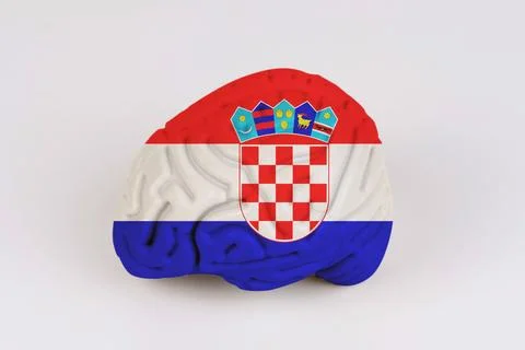 On a white background, a model of the brain with a picture of a flag - Croati Foto stock