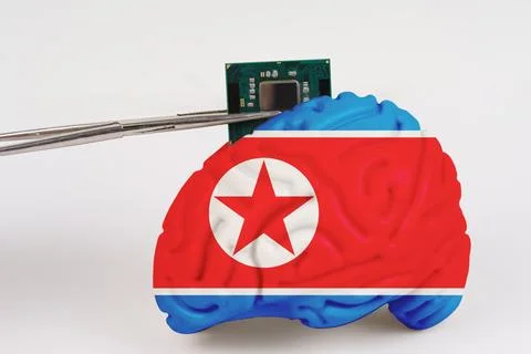 On a white background, a model of the brain with a picture of a flag - Nort.. Foto stock