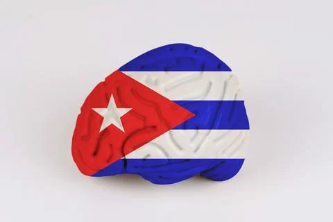 On a white background, a model of the brain with a picture of a flag - Cuba Foto stock