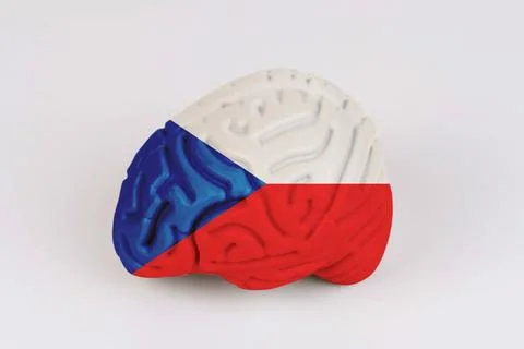 On a white background, a model of the brain with a picture of a flag - Czech Foto stock
