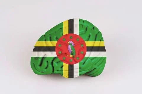 On a white background, a model of the brain with a picture of a flag - Domini Foto stock